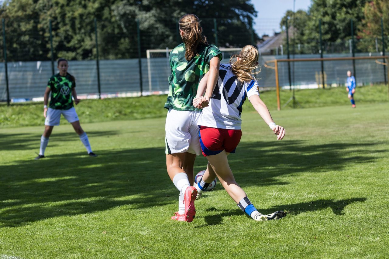 Bild 103 - wBJ Hamburger SV - VfL Wolfsburg : Ergebnis: 5:1